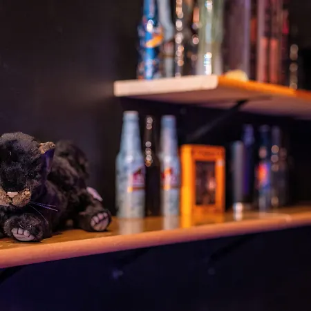 Black Panther Hostel-3